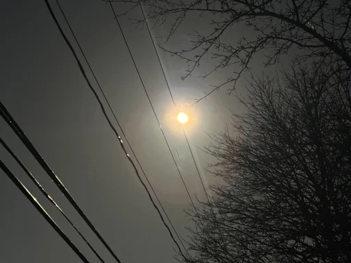 Solar Eclipse, 2024
